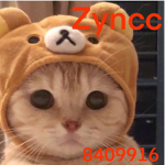 Zyncc
