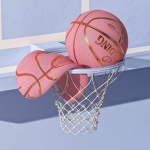 BALLIN BHADDIES!