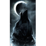 The moonlight yeah