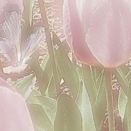 ⋆ ˚｡⋆୨♡୧⋆ ˚｡⋆
