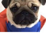 The Mighty PUG