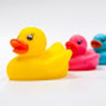 Duck’s Gaming Channels fans