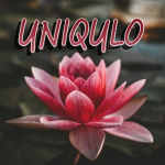 uniqulo