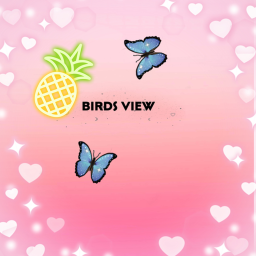 Birds view