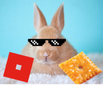 The Bunnies United