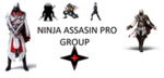 ninja assasin pro group