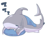 the cute sharkZ