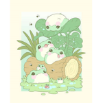 kimi’s frogs!