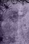Kiddosak Group
