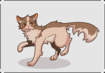 kindniss cats