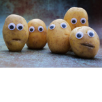 Protado Army
