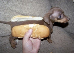 Hot Dog Pirates