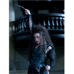 Bellatrix's Sorcery and Magic Academy