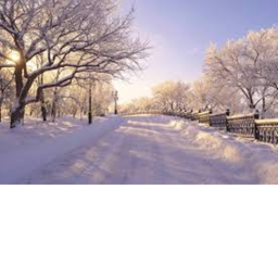 WinterWonderland