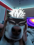JOGOAT AFILLIATES