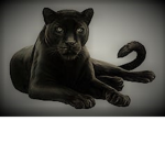 The Black Team Its The Black Hole