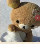 Emicas BEARS