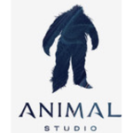 Hay pet studio