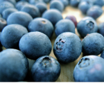 Just Concerend about the Blueberries