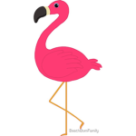 Ancient Flamingos