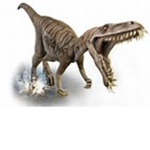 Raptorking1111