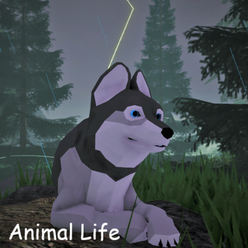 Animal Life Updates