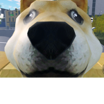 Doge bounty hunter corporation