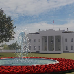 The White House