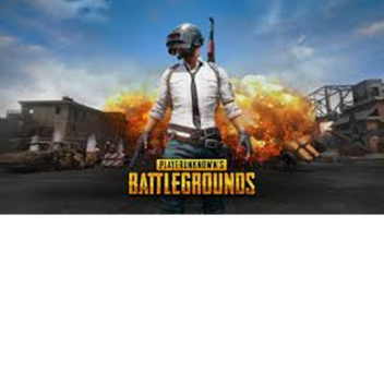 PUBG (Player Unknown Battleground)