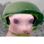 binguian army