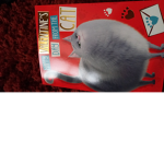 Cat-gang!