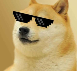 Doge Café