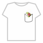 Shaymin in a Pocket