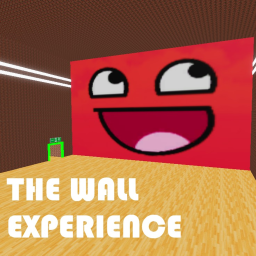 The Wall Experience 🧱