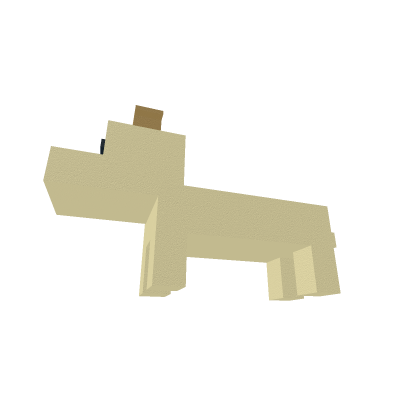 puppy