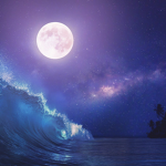 Moonlight shope