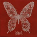 Butterflyy <3