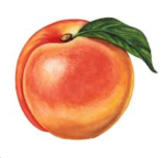 PEACHHPLAYZ