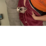 GET TO MEET TO QUESO