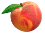 peachi studioz