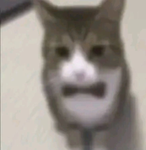 skibiditoilettearmy