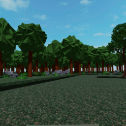 Forest Walkthrough