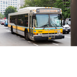 buses edition training  now
