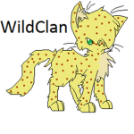 The Cats Of WildClan