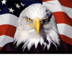 Secret Government Protection