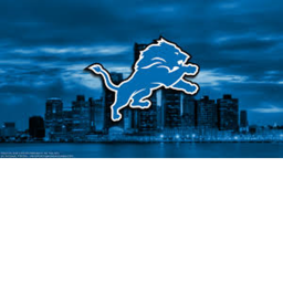 N-F-L Detroit Lions Stadium