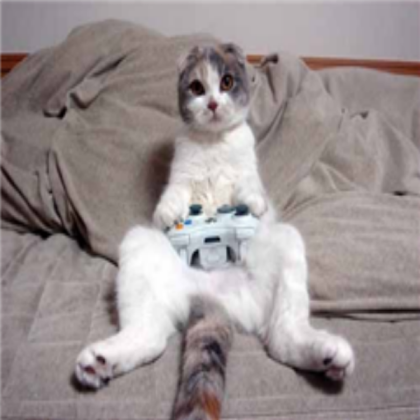 Gamer Cat Roblox decal