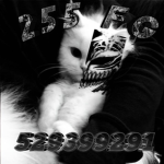 255 fg