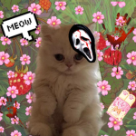 ~ Kitty's Group ~