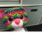 Unicorns uni Gigi